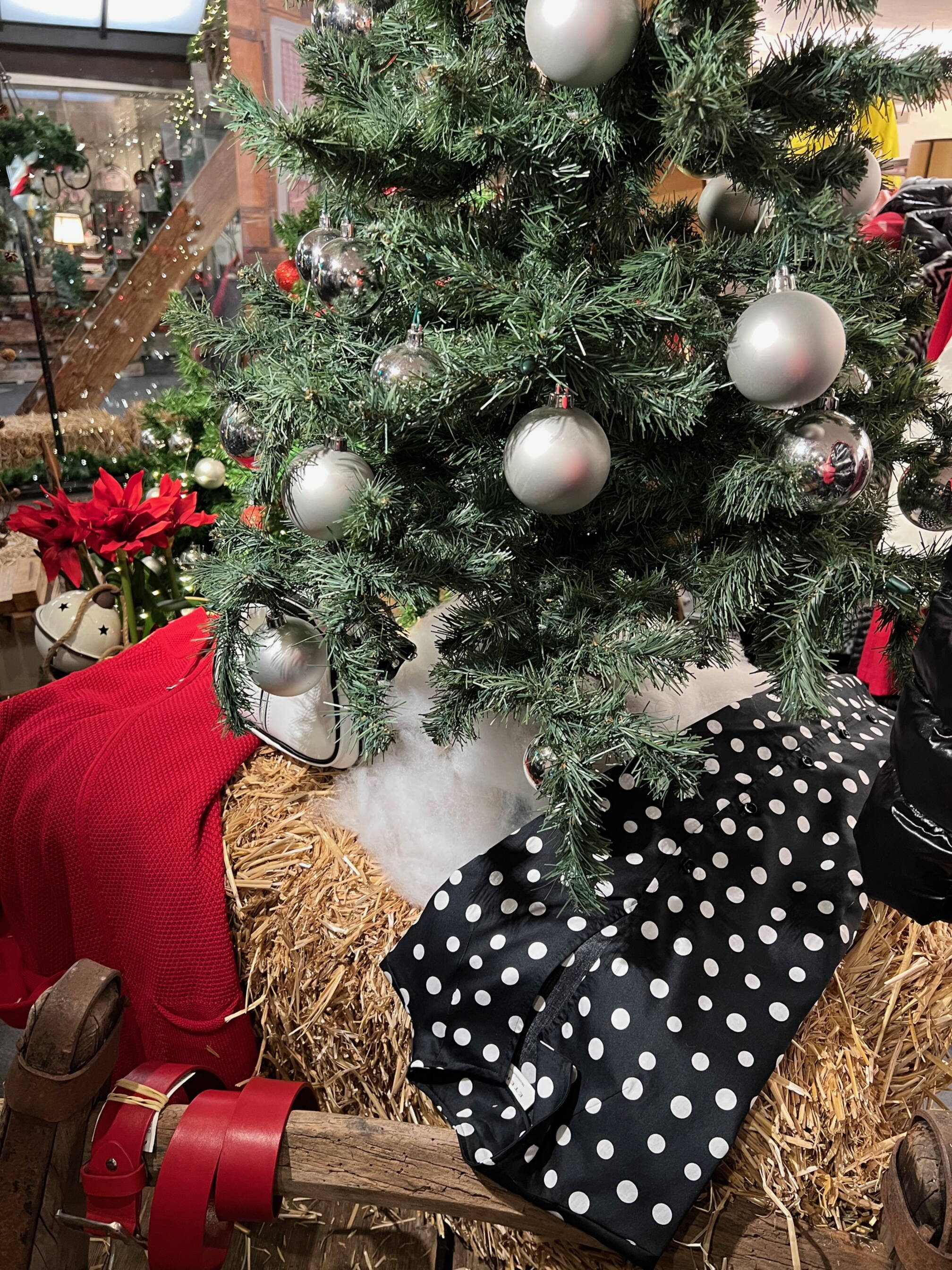 bildschirmfoto_2025-01-31_um_08.55.31.png bildschirmfoto_2025-01-31_um_08.55.31.png